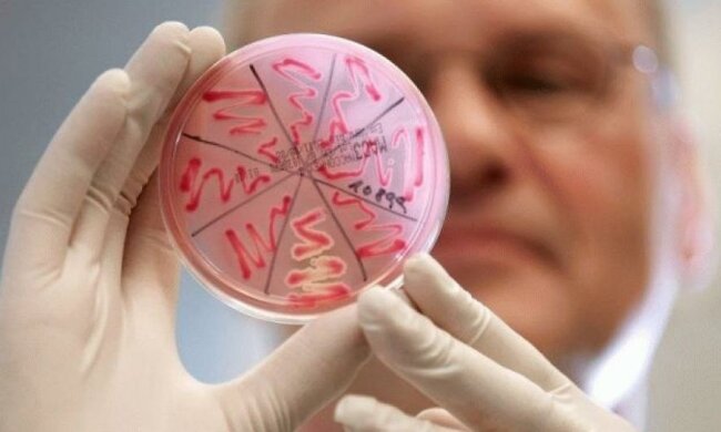 Через небезпечний вірус на Харківщині закривають школи