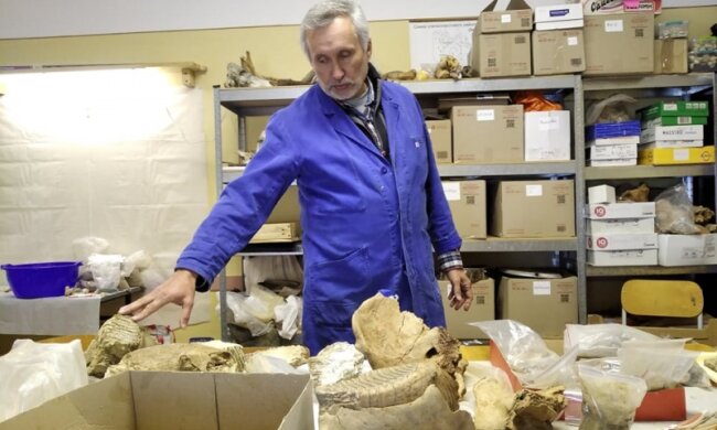 На Буковине нашли древнего гиганта, ученые ошеломлены: "Ему 300 тысяч лет"