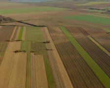 Земельний податок в Україні — гроші та документи