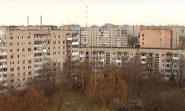 Будинок-вулик у Луцьку, скріншот відео