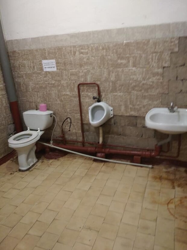Фото школьного туалета