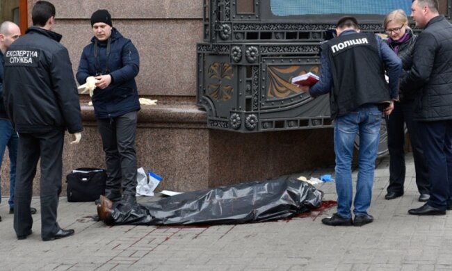 Специалисты проанализировали видео момента убийства Вороненкова 