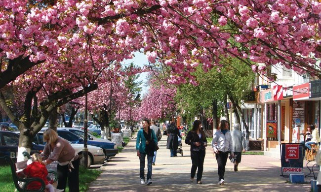 Погода на 18 апреля: Украина окунется в настоящую сказку