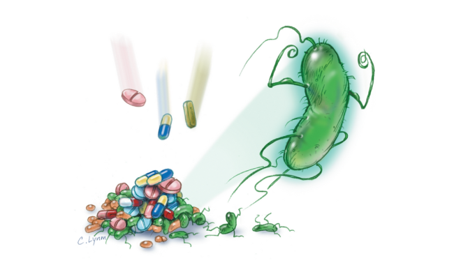 Бойтесь, микробы: врачи предложили лечить инфекции без антибиотиков