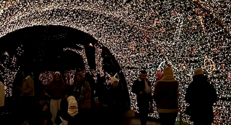 Украинцы, фото из соцсетей