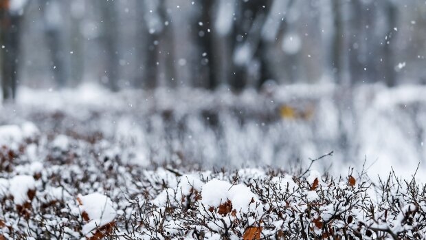 Харьков продрогнет под ледяным душем 12 февраля, где ваши зонтики