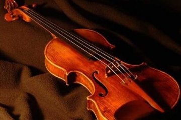 Американка забула в потязі скрипку Страдіварі