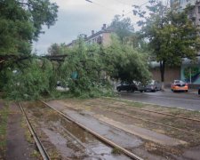 Розміром з булижник: Закарпаття засипало моторошним градом