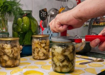Консервация, скриншот