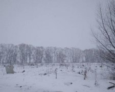 Трагічне падіння Ан-148: загинула дівчина відомого хокеїста