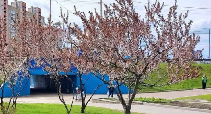 Українці, весна, фото із соцмереж