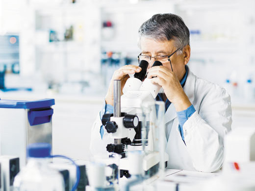 Глобальні зміни клімату "подарували" світу смертельний грибок, про яку загрозу всі мовчать