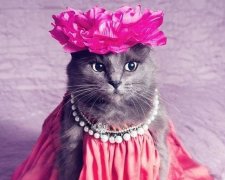 Модная кошечка с Румынии покорила Instagram