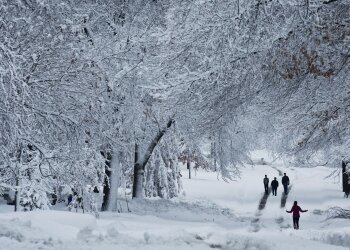 Снег, фото: GettyImages