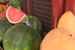 Цены на арбузы и дыни, скриншот с видео