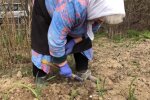 Пенсіонерка, скріншот відео