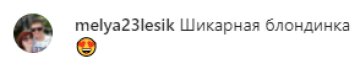 Скріншот з коментарів, instagram.com/liliia.rebrik/