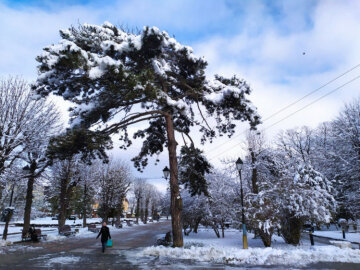 Зима в Трускавце / фото: Depo.Львів