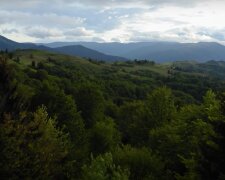 На Львівщині з'явився  національний парк "Королівські Бескиди" - краса, як у Новій Зеландії