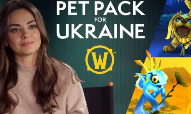 Ініціатива Blizzard, скріншот: worldofwarcraft.blizzard.com