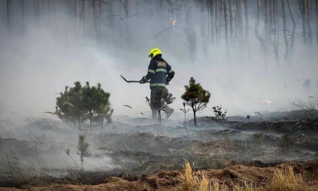 Масштабна лісова пожежа у Вишгородському районі