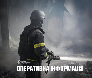 Пожежа на Одещині: рятувальники ДСНС гасять вогонь