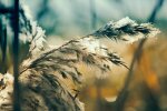 погода в Україні, фото pxhere