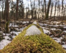 Погода в Україні, фото: Апостроф