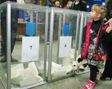 Українців поставили перед фактом, але не дали права вибору, - Ніколаєнко