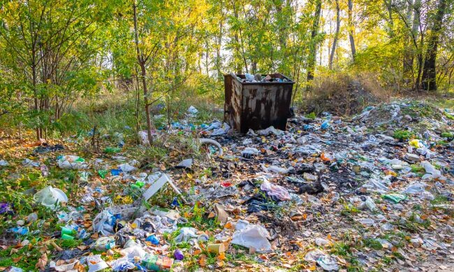 Сморід на все Дніпро: популярне місце для відпочинку перетворилася у звалище, ганебні кадри свинства