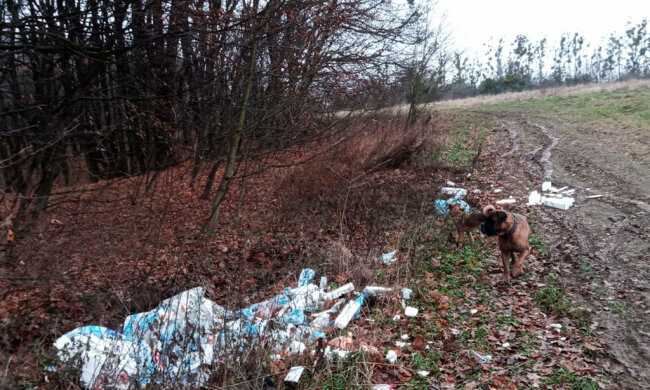 Сміттєву галявину під Львовом показали пекельними фото: "Унітази, стільці та пляшки замість грибів"