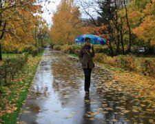 Погода в Днепре на 4 ноября: осень включила режим дождей, захватите зонтики