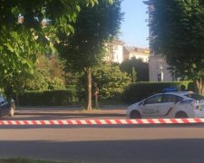 Вбивство депутата: у Батьківщині розповіли про головне