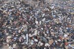 Тисячі мертвих ракоподібних