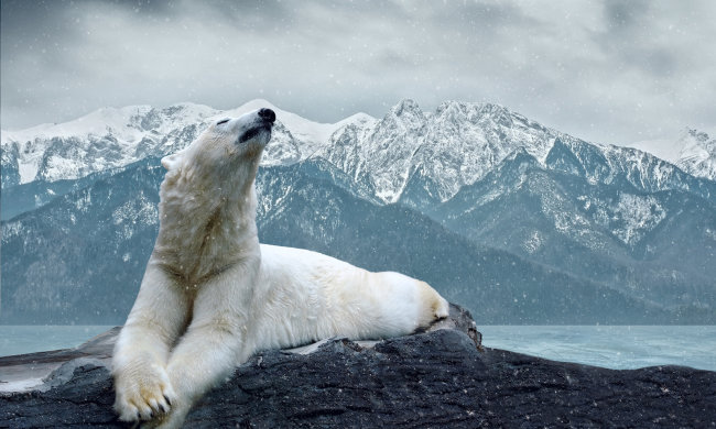 27 февраля: какой сегодня праздник - история и традиции