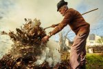 Дорогая листва: почему лучше не разжигать костры и сколько придется платить за это развлечение