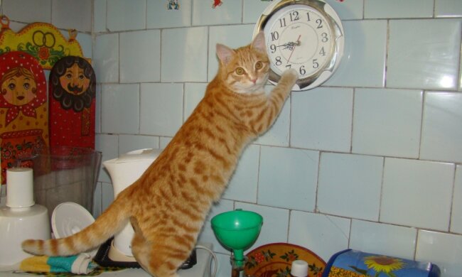 Перехід на зимовий час: коли переводять годинник в Україні і як до цього підготуватися