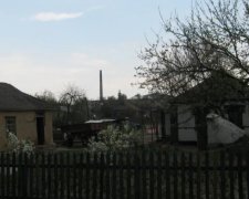 Синий кит вернулся? Под Винницей находят повешенных подростков
