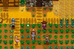 Stardew Valley