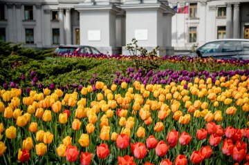 МЗС України - фото Міністерство закордонних справ України