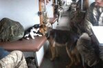 Тварини у вагоні з військовими, фото: Facebook