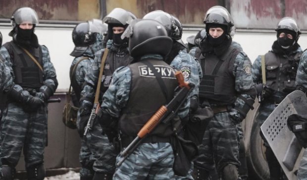 "Беркут" викрав української зброї на 700 тисяч гривень