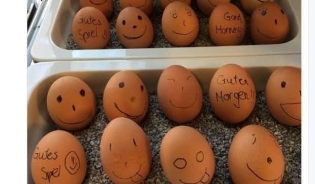 Гравців "Вердера" нагодували незвичайними яйцями (фото)