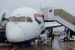 Boeing 787 British Airways Фото:Тwitter