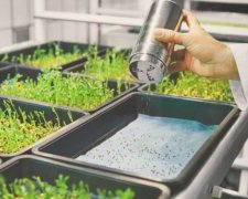 IKEA научилась производить не только столы