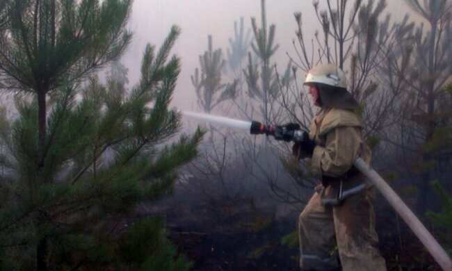 Майже 100 га лісу горіло на Хмельниччині (фото)