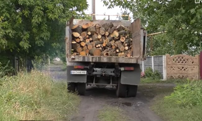 Опалення дровами, скріншот з відео