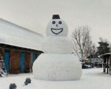 Сніговик, фото: соціальні мережі