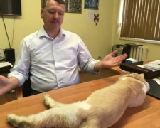 Гіркін з потрохами здав Путіна