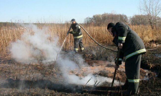 Під Києвом продовжують горіти близько 68 га торфовищ